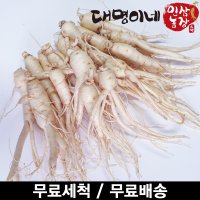 오쿠용 1회분 세척 인삼 수삼 난발 10-25뿌리 250g