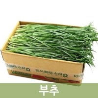 신선한 부추 4kg, 2kg 오이소박이 솔, 정구지 두리반농산