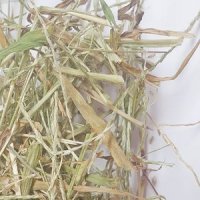 우산잔디 전초 50g (Cynodon Dactylon Leaf/Stem/Seed) 국산-청주