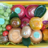 모듬 과일상자 Fruit gift set