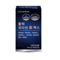 락토테미 활력 비타민b 맥스 700mg x 90정