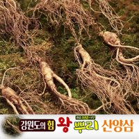 강원도의 힘 왕뿌리 산양삼 5년근이상 국내산 10뿌리