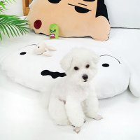 더와이 짱구 흰둥이 페이스 애견 대방석 강아지 고양이 반려견 방석