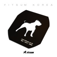 FITSUM 핏섬 배드민턴라켓 스텐실 판 카드 FT-STS