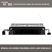 (메가트럭) 전면 선바이저 어셈블리 - 램프, 브라켓, 원미러, 배선, 볼트 포함 / 862516C100