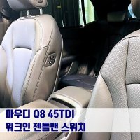 아우디 Q8 45TDI 워크인 젠틀맨 스위치