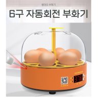 병아리 닭 부화기 달걀 곰부화기 계란 오리알 메추리