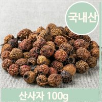 붉은빛 산사나무 열매 100g 산사자 적조자 서사 후사