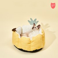 고양이 강아지 파인애플 애견 꿀잠 쿠션 방석