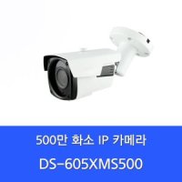 5MP IP 외부용카메라 모터줌 DS-605XMS500