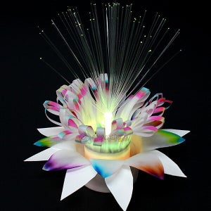 LED 크로마토그래피 꽃 가습기 [1인용],물의상태변화, 모세관현상, 가습기만들기