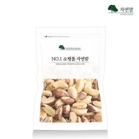 [실속형] 브라질너트(MD/완태) 1kg