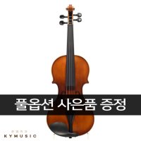 [Hyojeong] 효정 바이올린 HV-100 Violin