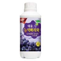 대유 뉴색빠리와 500g 거봉 캠벨 블랙사파이어 스텔라 포도 나무 착색 당도 관주 비료