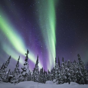 밴쿠버 출발 유콘 화이트홀스 오로라 투어 2박 3일 (호텔+오로라뷰잉+트랜스퍼 포함)