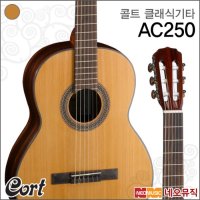 콜트 클래식기타 Cort NAT AC15 업그레이드 AC250