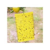 JOYAUS 10 Pack Yellow Sticky Traps, Dual-Sided, 15x20cm, with Twist Ties for Capture Insects Like Gn