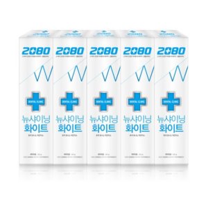 2080 최저가 가성비상품