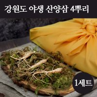 경성건강원 자연산 야생 산양삼 강원도 산양산삼 장뇌삼 효능