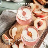 캔들만들기 젤캔들 인센스스틱홀더 CANDLE LAB 백도우롱 DIY 캔들용 디퓨저