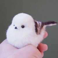 화이트 뱁새 흰 새 짹짹이 참새 인형 DIY 인테리어 장식 소품