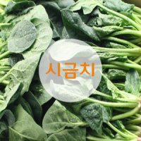 시금치 1박스(4kg) -싱싱한 당일입찰상품