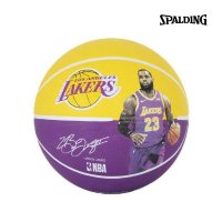 NBA 스팔딩 농구공 7호 르브론 제임스 1P 실내 실외