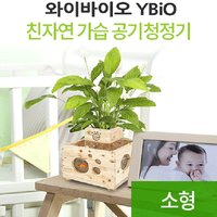 우즈에어 산소발생 가습기 원목어항 화분 소형히노끼