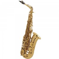 SELMER Selmer Alto III Jubilee 쥬빌리3 셀마 셀머 알토색소폰 GG