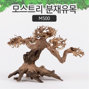 모스트리 최저가 가성비상품