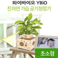 우즈에어 산소발생 가습기 원목어항 화분 초소형히노끼