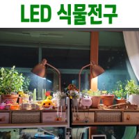 히포팜텍 히포팜텍 식물생장 LED 전구 12W/식물등 재배 성장