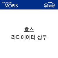 호스-라디에이터 상부 에쿠스 (1999,2001,2004) 254113B900 25411 3B900