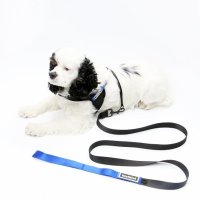 키니키니 KINI SIGNATURE LEASH-BLACK 리드줄