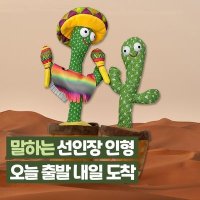 춤추는 선인장 인형 말따라하는 선인장 말하는 녹음 인형