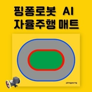 [핑퐁로봇] AI 자율주행 매트