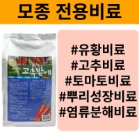 고추전용 방울토마토 비료 유황 뿌리 발근 촉진제