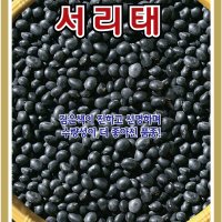 서리태콩 30g/가정원예용채소/채소씨