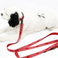 [키니키니]ORIGINAL KINI LOGO LEASH-RED(리드줄)