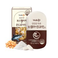 RAWEL 보스웰리아 콘드로이친 정 500mg x 60정