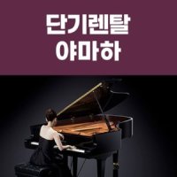 [대여] 1일 단기렌탈 영창 그랜드피아노 대여/렌탈 행사장, 공연장, 방송용, 연주회