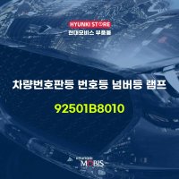 차량번호판등 번호등 넘버등 램프 (92501B8010)