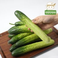 [삼촌농장] 수분 가득 백다다기 오이(특품) 5kg