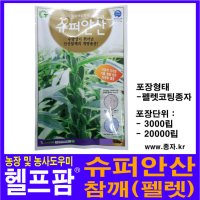 헬프팜 슈퍼안산 참깨 20000립 씨앗 종자 가지깨 GHB  1개