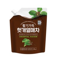 건영비앤에프 녹차원 활기가득 헛개열매차 480ml