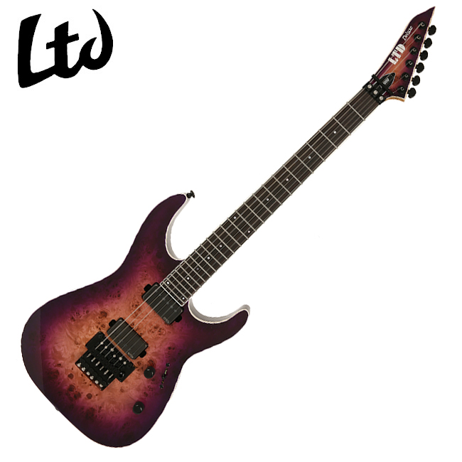ESP/LTD LTD M-1000 일렉기타