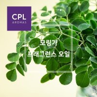 모링가 프래그런스오일 영국 CPL 아로마 캔들 디퓨져 재료