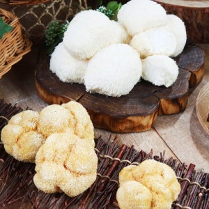 [생산자직송] 강진 양승규님의 무농약 건 노루궁뎅이버섯 50gx2