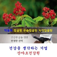 토종 접골탕(35일분):70팩