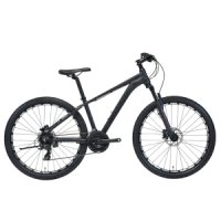 알톤 샌드스톤 3.0D 24단 MTB 자전거 2022년